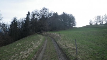 Sur la crête de Montraillant