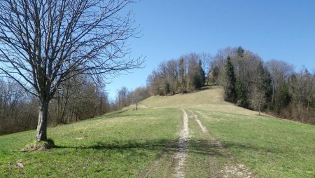 Le Mont Pezard