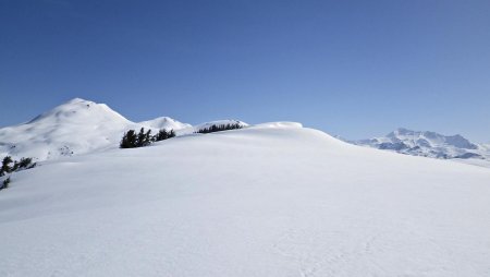 Sur la Montagne du Bettex