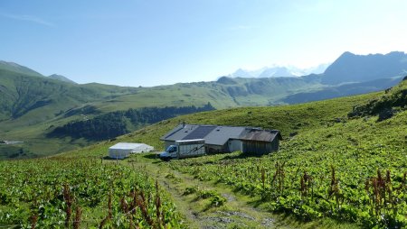 Chalet du Berger