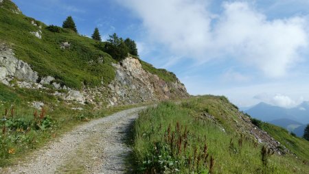 Vers le Col de la Forclaz