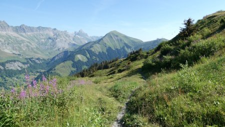 Le chemin retour, panneau, direction le Plan