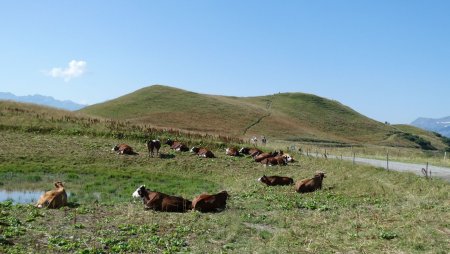 Mont Clocher, on voit bien le chemin de montée