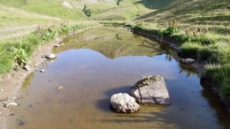 Vers le col des Tufs Blancs