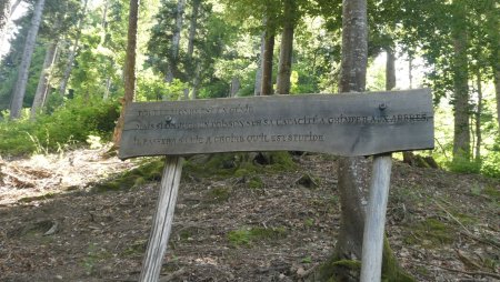 Sur le Sentier des géants