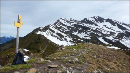 Char de la Turche (sommet)