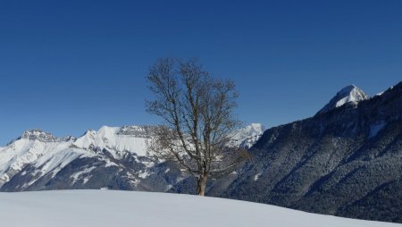 Arcalod, Rochers de l’Encerclement, Mont-Blanc et Pécloz.