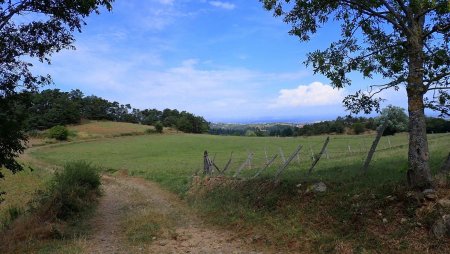 Sur le plateau au nord de la butte