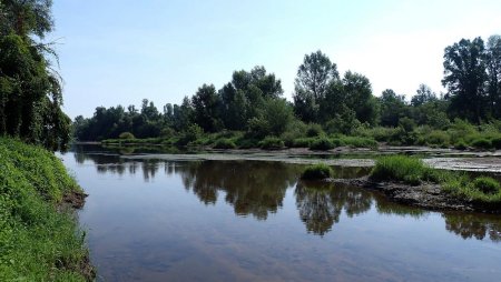 Bras secondaire de la Loire