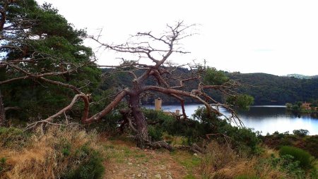 Sur la corniche