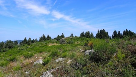 Coucou à la Pierre Carriole, là-bas, sur le mamelon