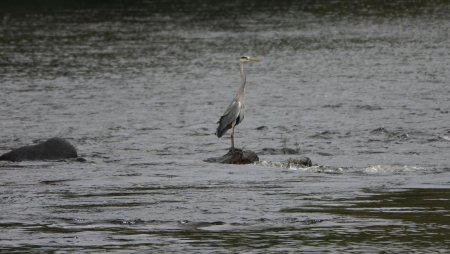 La Loire