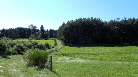 Vallon qui serait marécageux sans les drains