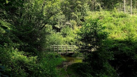 Passerelle du Charavan