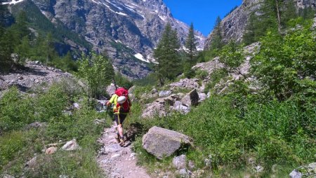 Dans le Vallon de Celse Nière