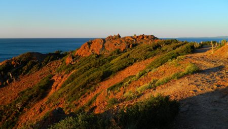 La côte sauvage.