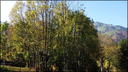 Prairies aux couleurs d’automne...