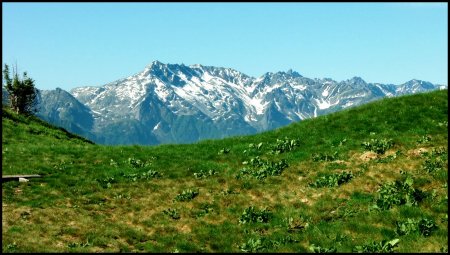 Au-delà du téléski du soleil, du Roc de Pendet à la Cime de la Jasse par le Pic de la Belle Etoile et le Pic de l’Apparence.