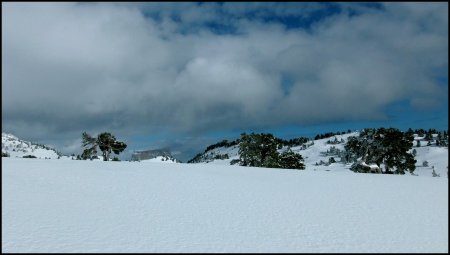 Sur le croupe.