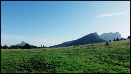 Lumière du matin sur la prairie, au loin le Grand Som, le Bec Charvet et la Dent de Crolles.