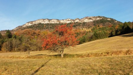 Les Crêtes de la Ferrière.