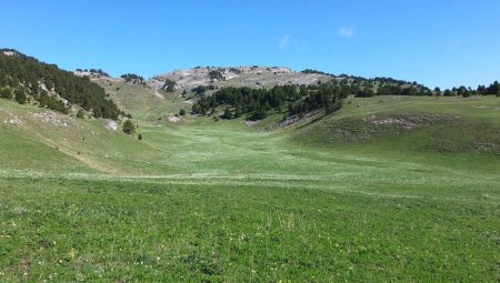 Prairie fleurie en direction du Col du Creuson.