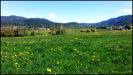 Plaine d’Autrans vers le nord.