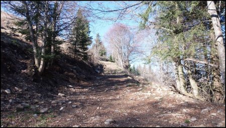 Chemin partant à droite au-dessus des abreuvoirs.