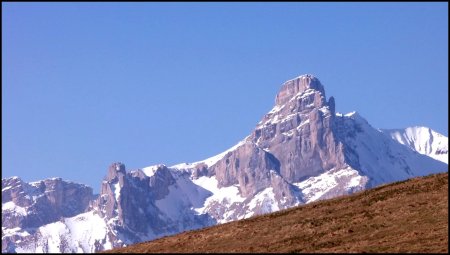 Au-delà de l’alpage, la Grande Tête de l’Obiou émerge.