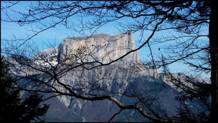 Mont Aiguille et Grand Veymont du chemin de crête.