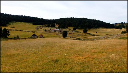 Domaine de Tussac.