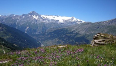 Retour dans les alpages face à la Vanoise.