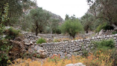 Murs de pierres sur des centaines de mètres