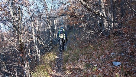 Dans les bois, vers les Croix