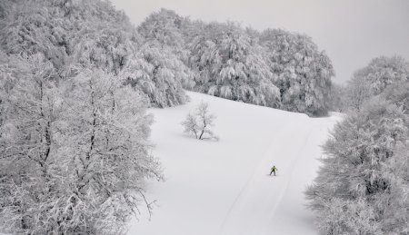 La solitude du skieur de fond