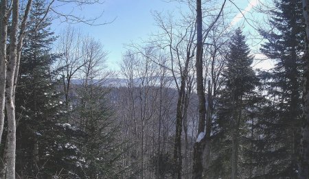 Peu de vue sur le parcours