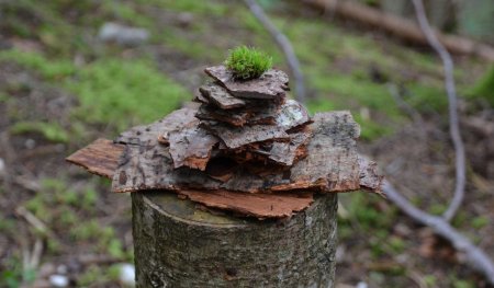 Cairn d’écorces (brevet déposé :))