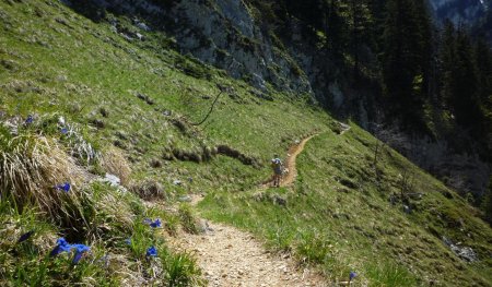 En direction du Pas du Loup