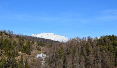 Le Mont St-Sauveur pointe encore le haut de sa tête