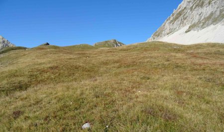 En montant sur la croupe de Serre Long, les pelouses sont, là encore, aussi accueillantes. On aurait envie de venir planter la tente ici pour passer la nuit, et être éveillé par les premiers rayons du soleil.