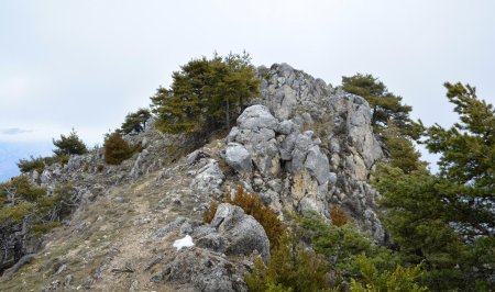 En route pour le point culminant : on peut soit utiliser le sentier en contrebas ou suivre la petite arête