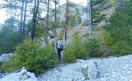 Ca monte franchement, dans les bois