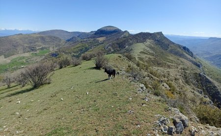 Depuis le sommet .1389, vue sur la Colle, le Pied du Mulet et Chanteduc (l’autre !)  au fond.