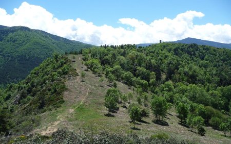 La Tour de Goa n’est plus très loin