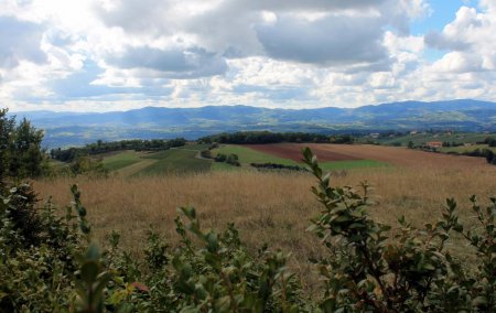 vue sur les Monts du Lyonnais