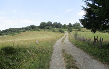 On se dirige vers le nord-ouest (la zone boisée du haut, c’est notre sommet).