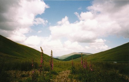 The Cheviot Hills