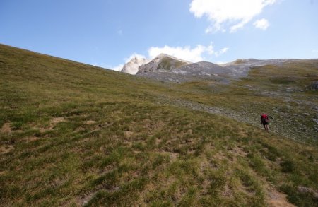 Une steppe bolivienne ?