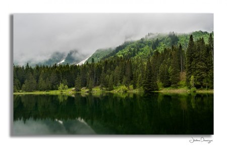 Du vert... de l’eau...