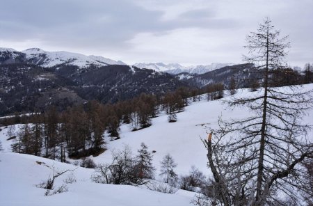 Regard vers l’est (Mont Brussière à gauche) en montant vers le Collet de Guérin